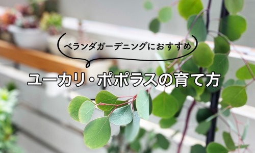 抑制脂肪吸收的-权威阻止脂肪吸收的药物有哪些平台,分享专业阻止脂肪吸收的药物是什么知识_阻止脂肪吸收的药物网